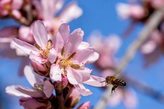 Stanice Flora se uzavírá! Co dělat během 10 měsíců rekonstrukce?