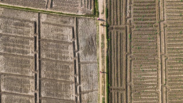 Pátá země bojkotuje Eurovizi: Jaký bude osud soutěže?