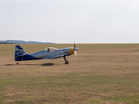 Česko vysílá letadlo pro občana z Venezuely: Diplomatický úspěch?