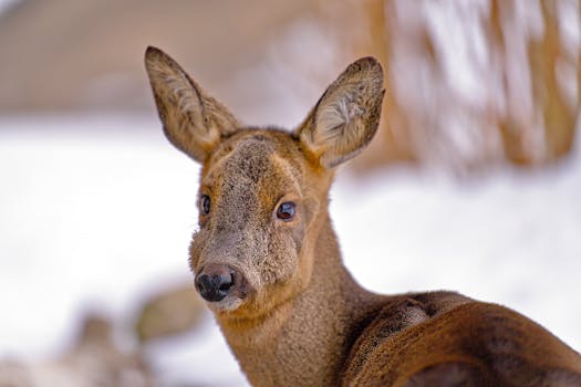 Ministr v přiznání: Vlastní zbraně za 1,2 milionu Kč!