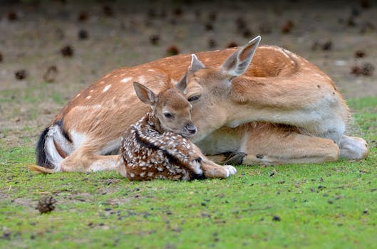 Průměrná mzda v Česku vzrostla: Co to znamená pro vás?