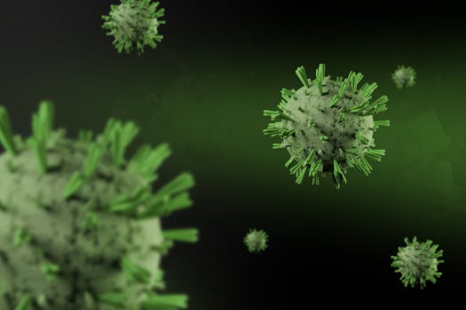 Ebola: Smrtelná hrozba s 25% úmrtností, vysvětluje Prymula